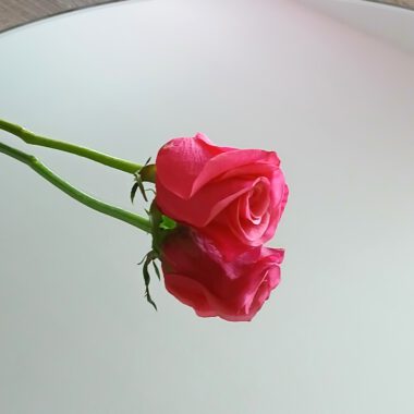 Runde Spiegelplatte 40cm – zeitlose Dekoration & stilvolle Basis